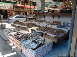 راس البر السوق 1