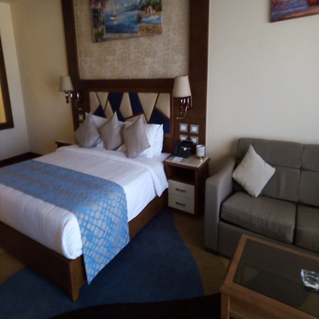 توليب الجلالة السخنة 23