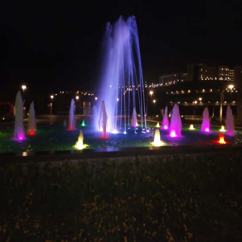 توليب الجلالة السخنة 36