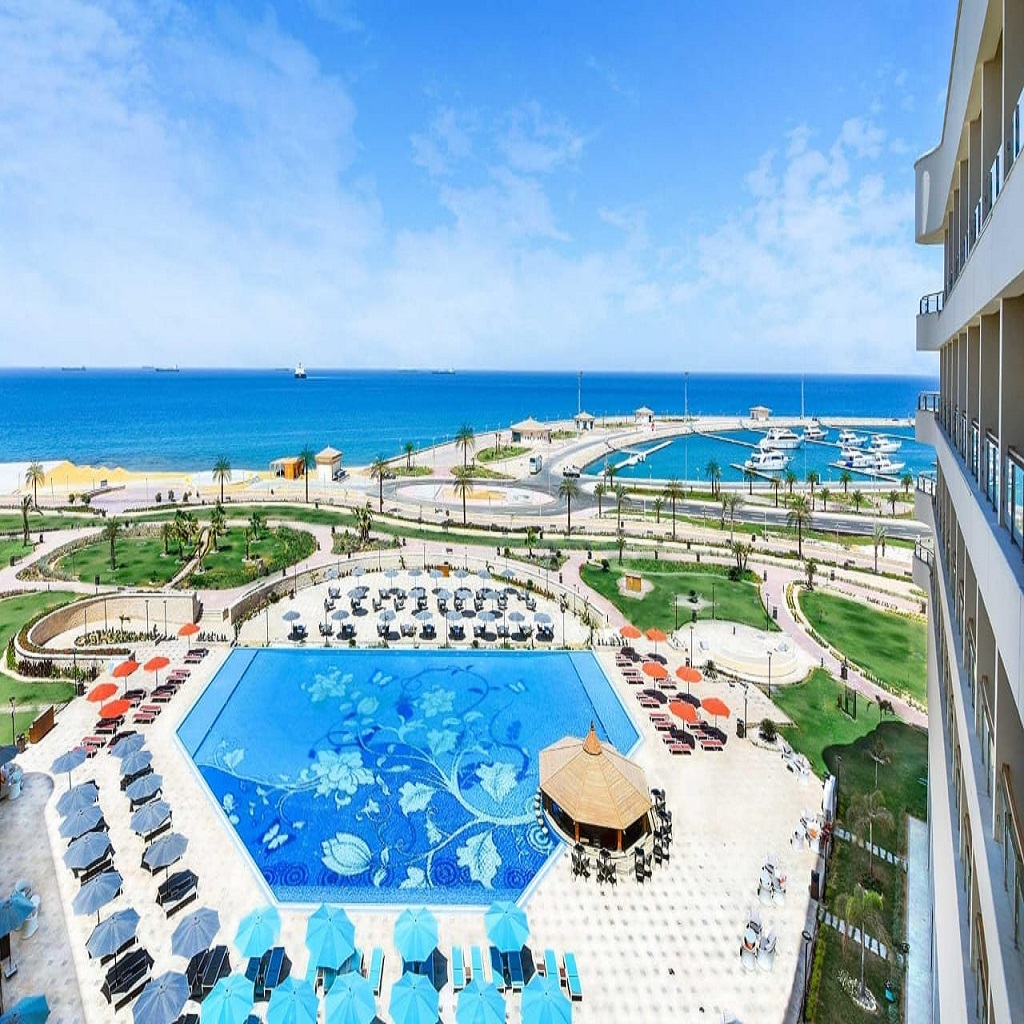 توليب الجلالة السخنة عام