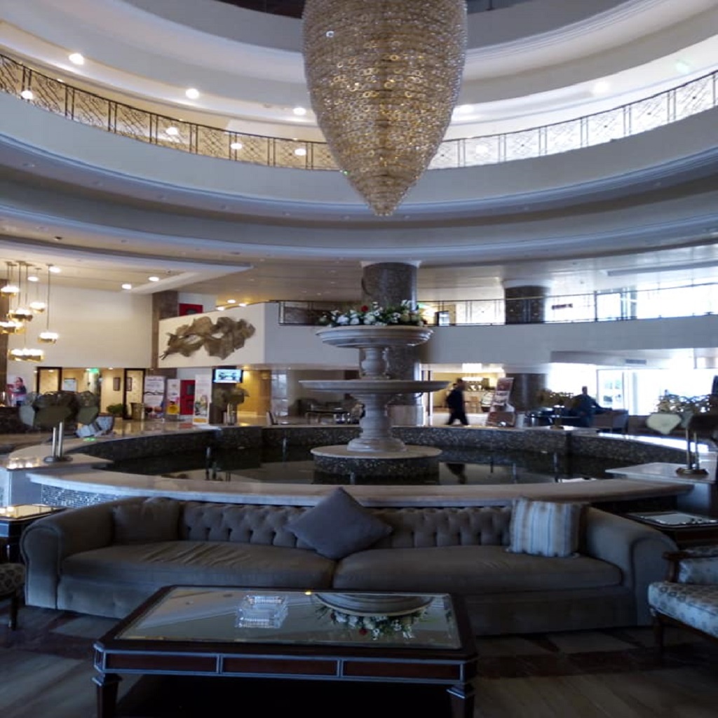 توليب الفرسان 14