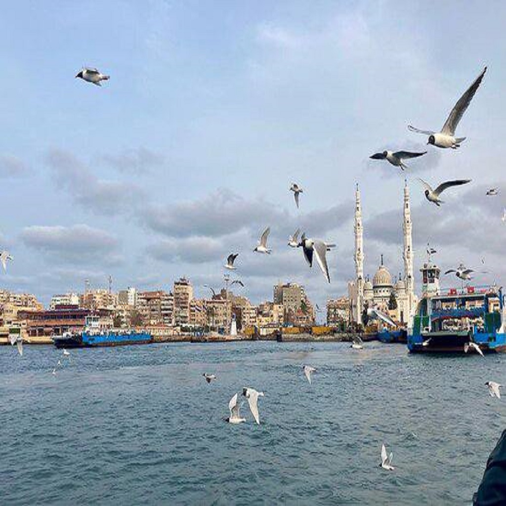 بورسعيد القناة 2