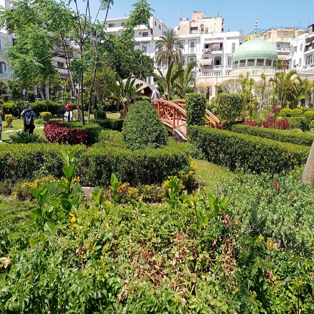 بورسعيد حديقة فريال 3