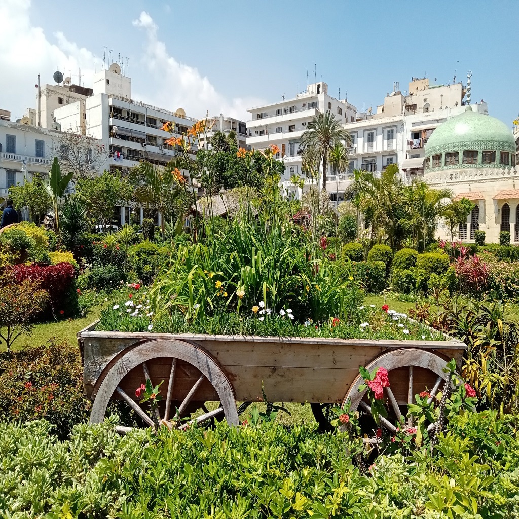 بورسعيد حديقة فريال 4