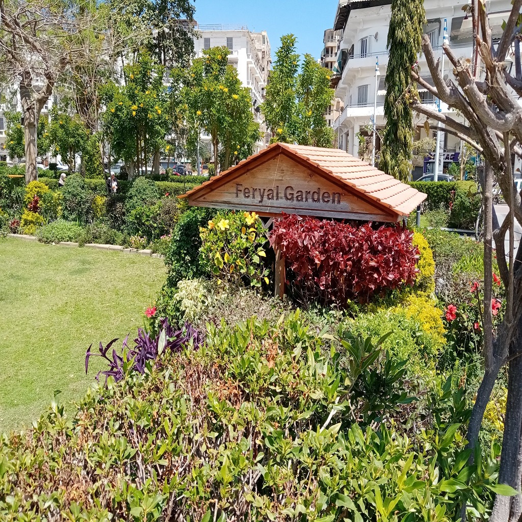 بورسعيد حديقة فريال 5