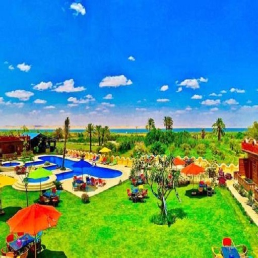 تونس بيراميدز 1