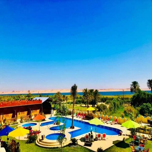 تونس بيراميدز 12