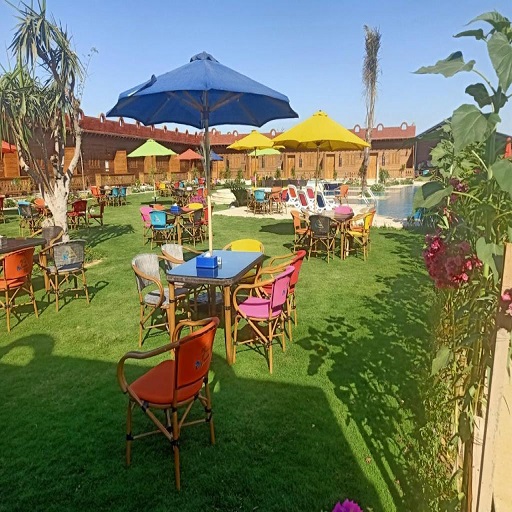 تونس بيراميدز 7